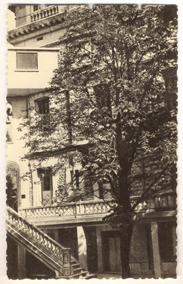 Villeneuve-lès Avignon : institution sainte Marie