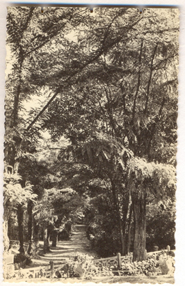 Villeneuve-lès Avignon : institution sainte Marie