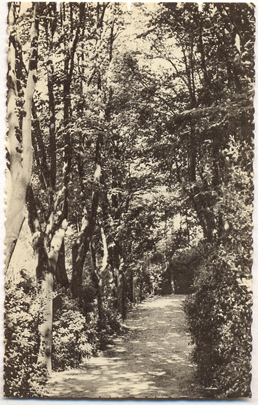 Villeneuve-lès Avignon : institution sainte Marie