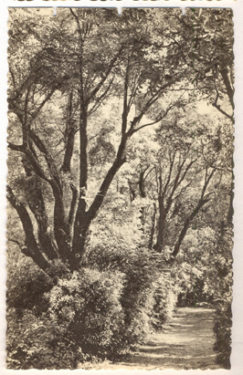 Villeneuve-lès Avignon : institution sainte Marie