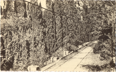 Villeneuve-lès Avignon : institution sainte Marie