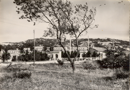 Villeneuve-lès Avignon : le camp des Oliviers