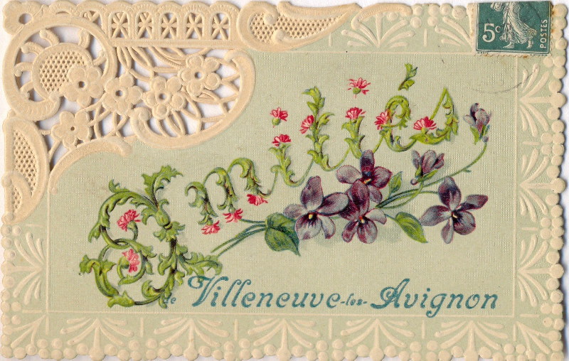 Villeneuve-lès-Avignon : fleurs