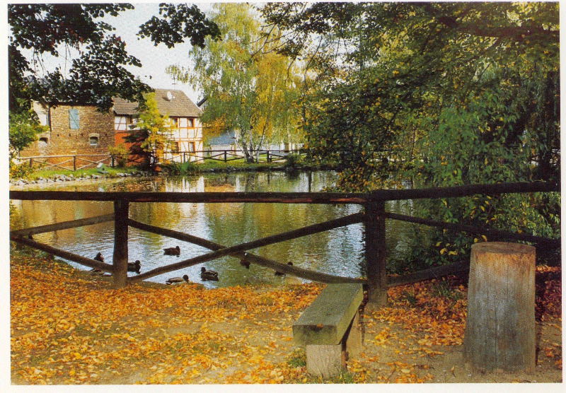 Carte postale : Rheinbach et environs (Allemagne)