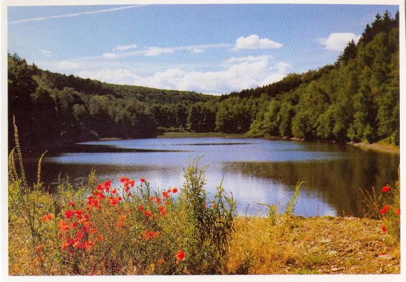 Carte postale : Rheinbach et environs (Allemagne)