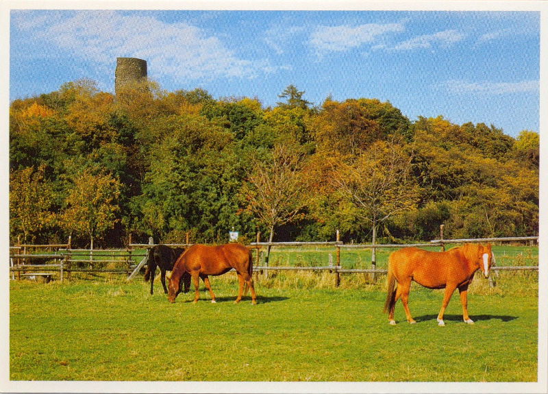 Carte postale : Rheinbach et environs (Allemagne)