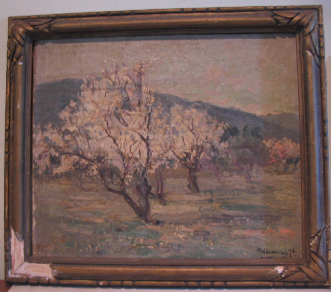 Amandiers en fleurs par temps gris