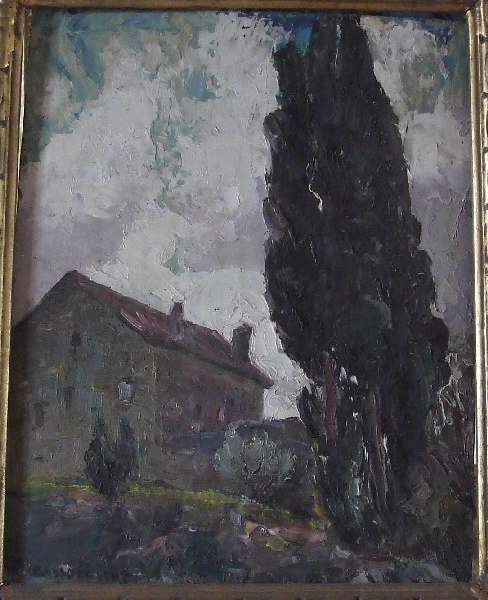 Cyprès à contre-jour