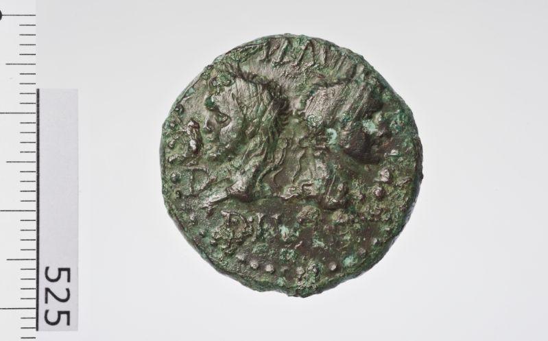 As de Nîmes au crocodile