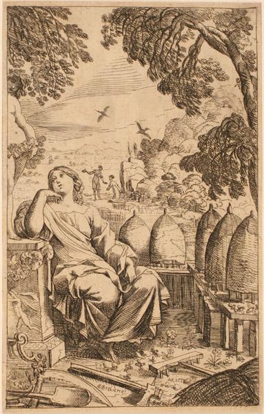 Les Métamorphoses d'Ovide : Aristée