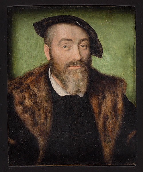 Portrait d'homme à la barbe grisonnante