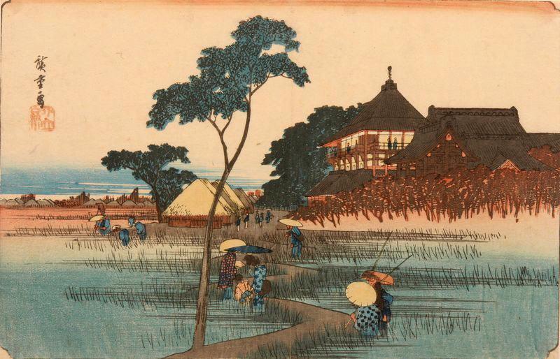 Paysans dans une rizière