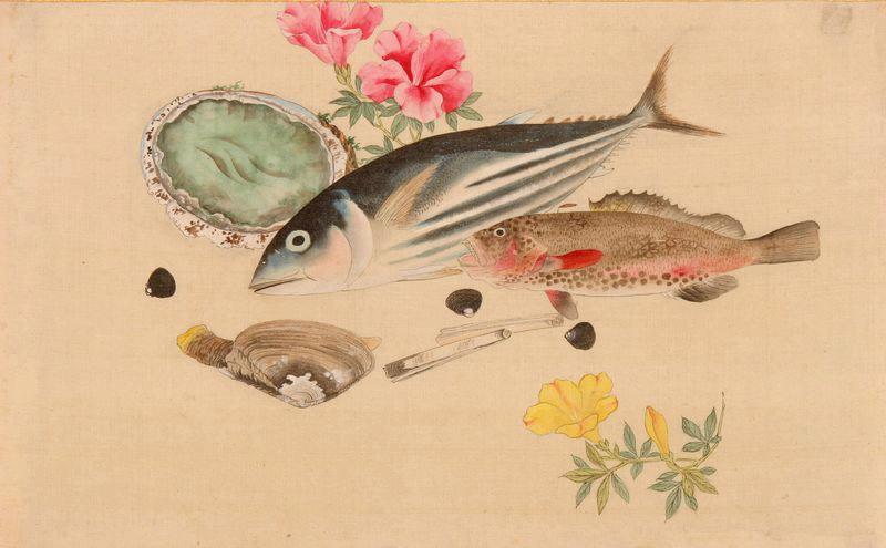 Deux poissons, des coquillages et des fleurs