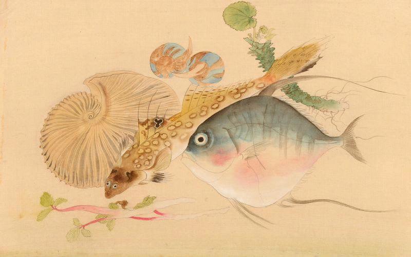 Deux poissons, des coquillages et des plantes