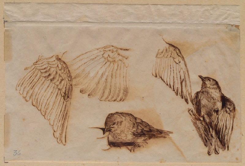 Deux passeraux et trois ailes