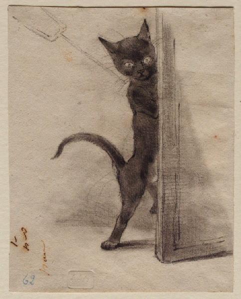 Petit chat noir en diable