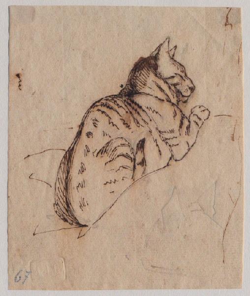 Chat tigré endormi sur des coussins ; au verso : visage au crayon