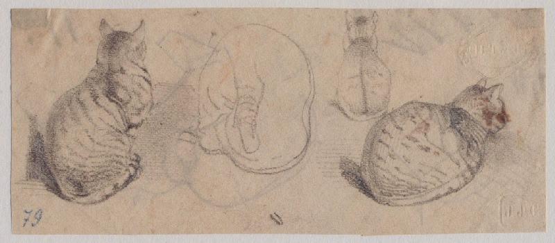 Trois chats tigrés, l'un se léchant (au verso : deux croquis de chats à la mine de plomb)