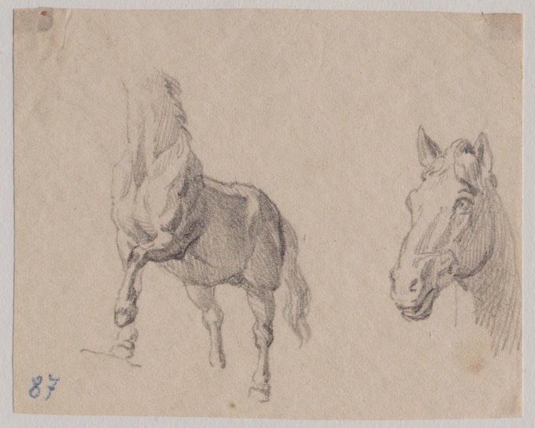 Chevaux