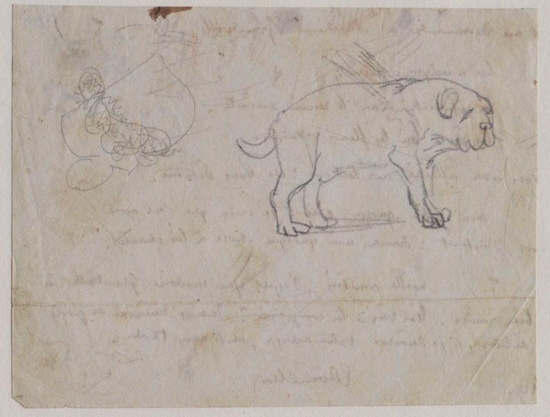 Un bouledogue (au verso : un brouillon de lettre à l'encre)