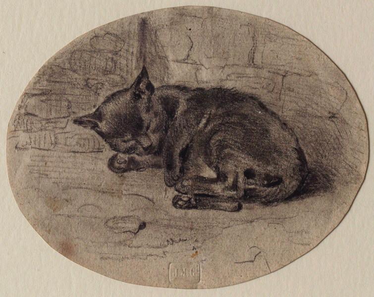 Chaton noir dormant au pied d'un mur de pierres