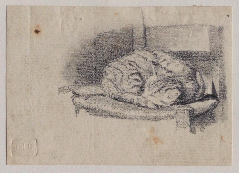 Chat tigré dormant sur une chaise en paille ; au verso : croquis de deux vaches et un porc