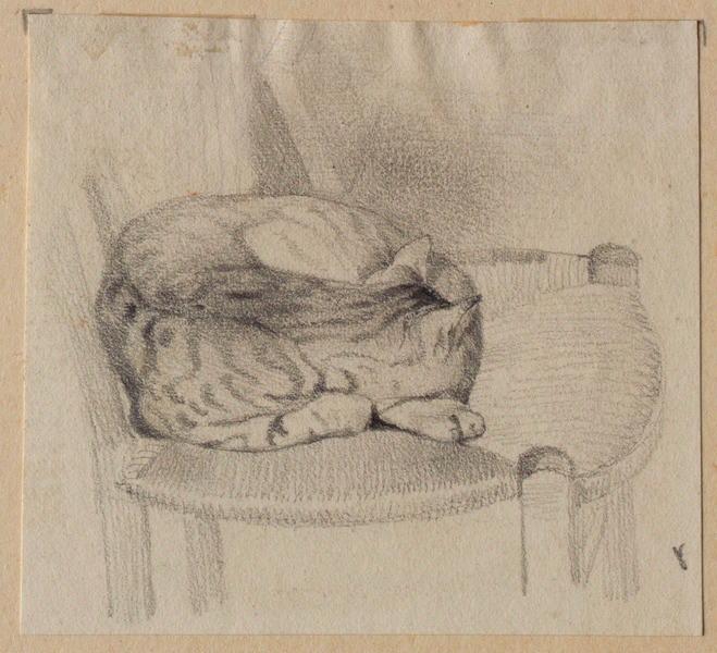 Chat tigré dormant sur une chaise en paille (au verso : un pot surmonté de deux anses à la mine de plomb)
