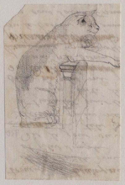 Chat jouant dressé contre un meuble (au verso : fragment d'une lettre à l'encre)