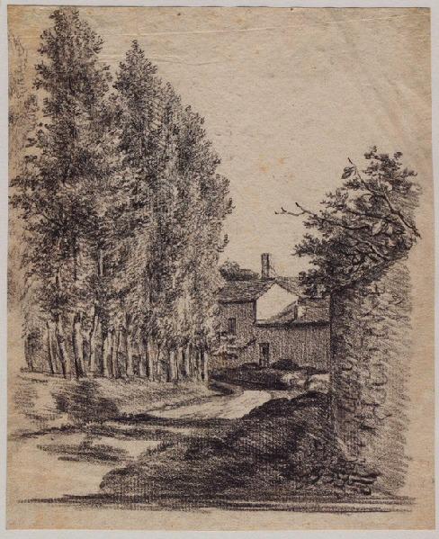 Allée de peupliers et maison