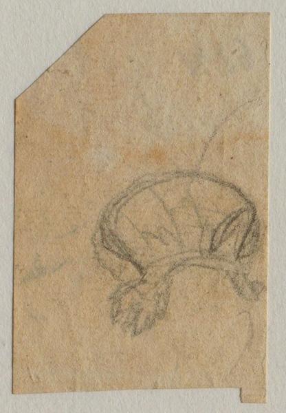 Une coiffe ; au verso : quelques traits à l'encre