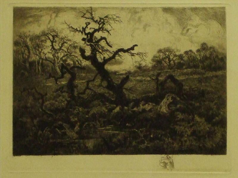 Le Chêne mort ; Détresse