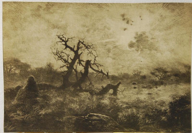 Le Chêne mort ; Détresse