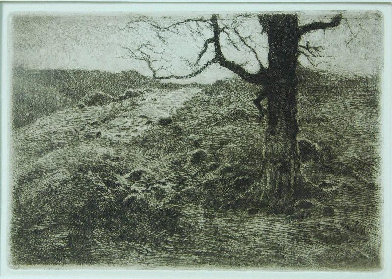 Le Hêtre ; Les Papillons Noirs