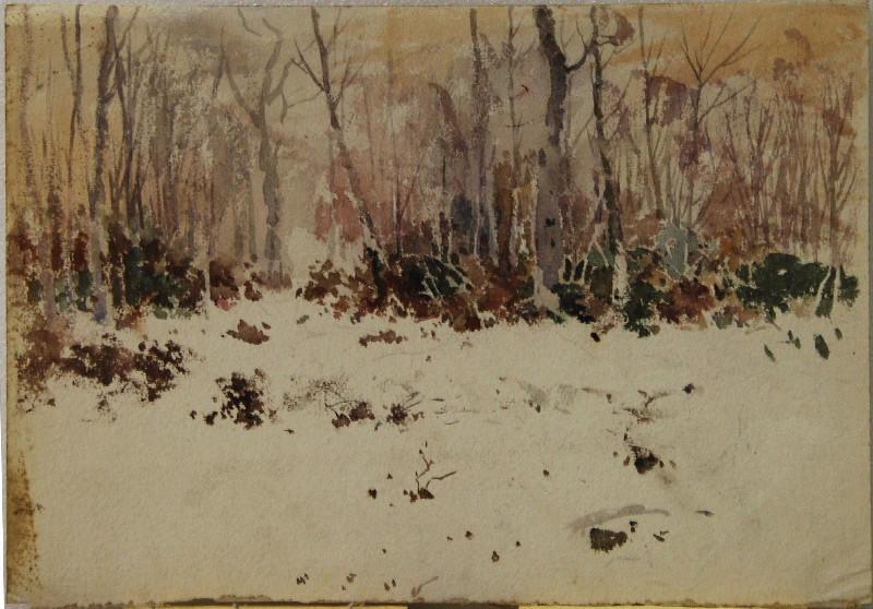 Etude de sous bois en hiver