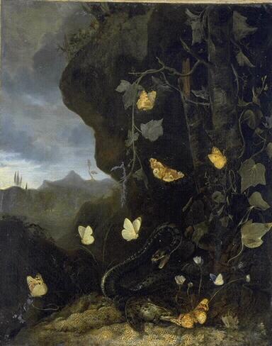 Serpents, crapauds et papillons (Titre de David Fiozzi) ; Serpent, grenouille et papillons