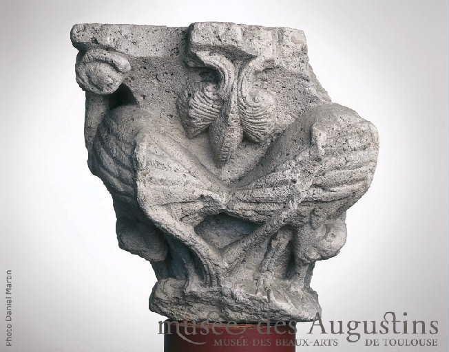 Oiseaux dans des lianes [abbaye de Saint-Sernin, Toulouse]