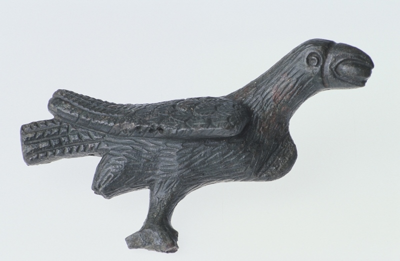 Profil d'aigle