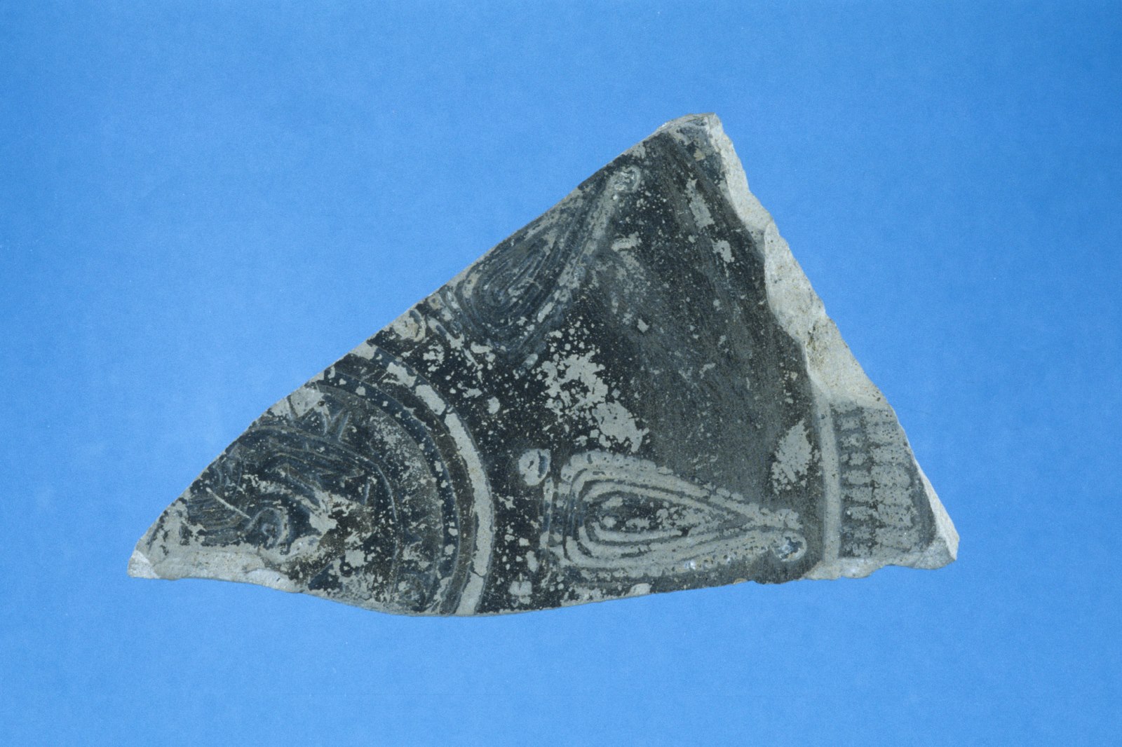 Fragment de fond de plat à décor estampé
