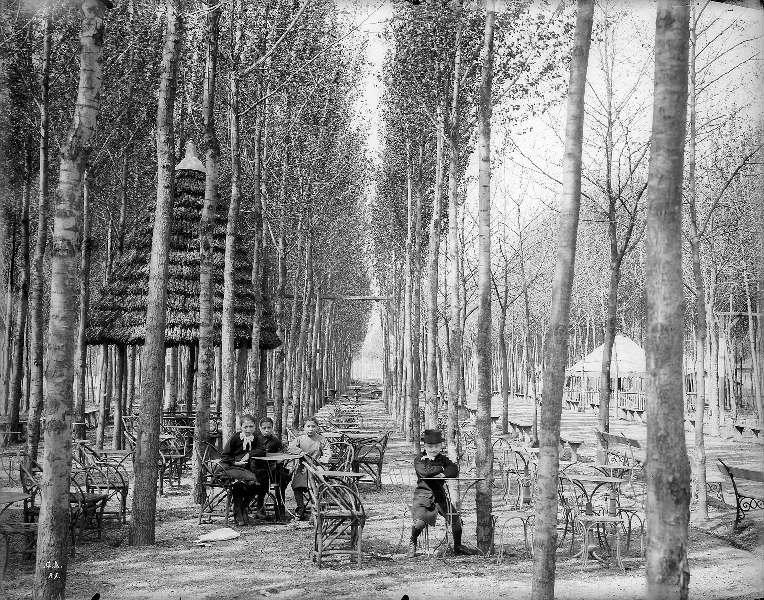 Toulouse. Le ramier du Bazacle