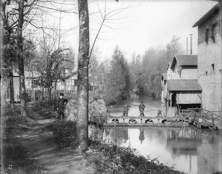 Toulouse. Le ramier du Bazacle