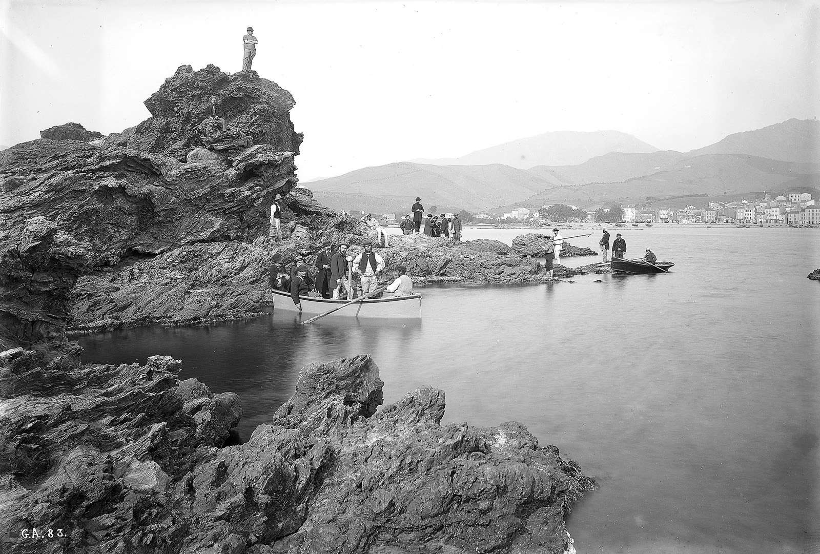 Banyuls. Pêche de la faune marine