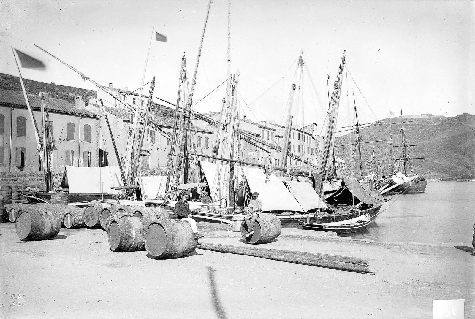 Collioure. Port des pêcheurs