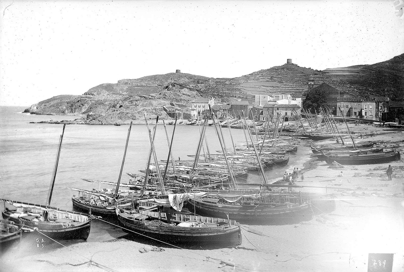 Collioure. Port des pêcheurs