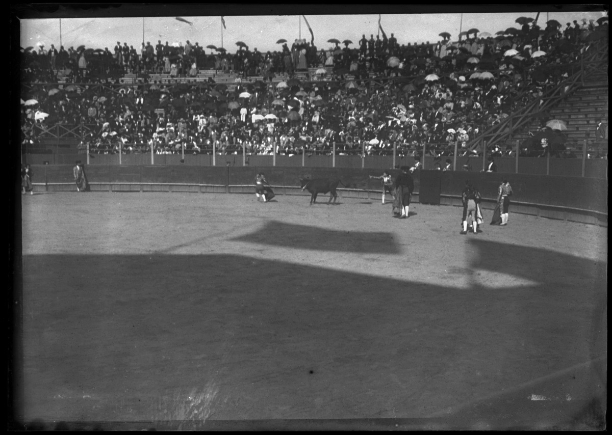 Bayonne. Mort du taureau
