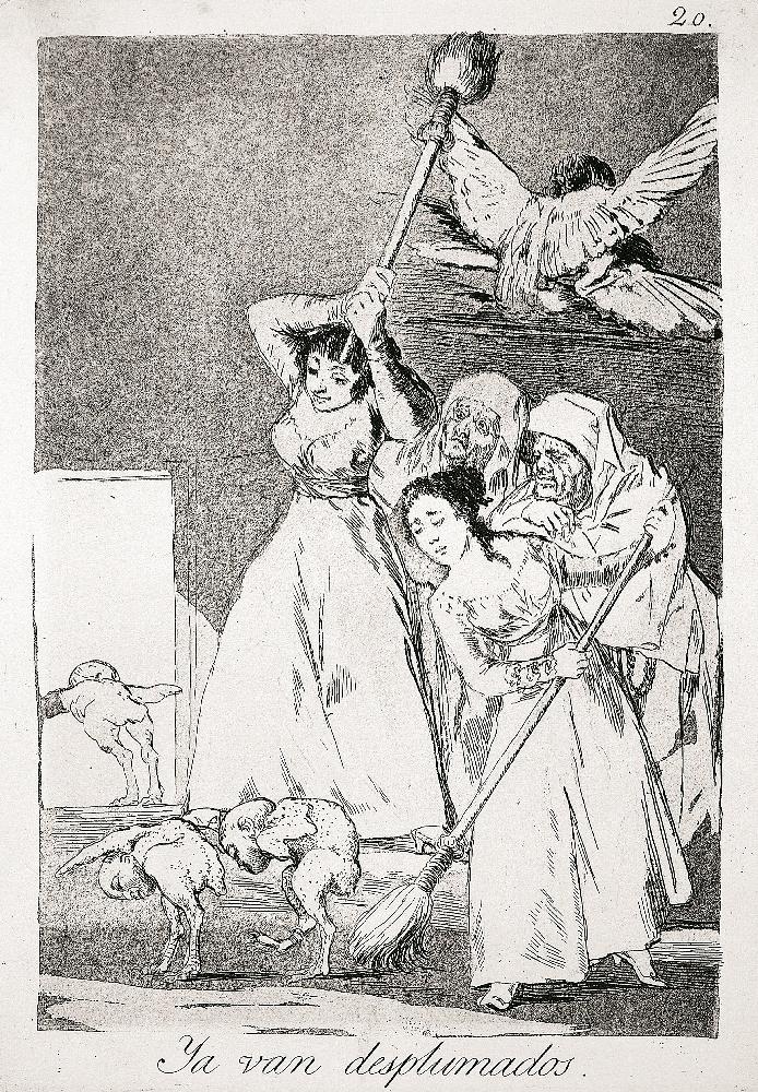 Les Caprices (Planche 20) : Les voilà plumés ; Ya van desplumados