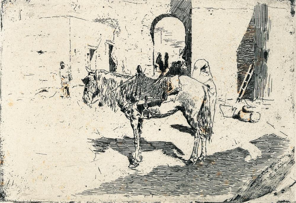 Cheval du Maroc