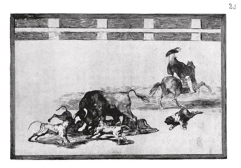 La tauromachie (Planche 25) : Ils lâchent les chiens sur le taureau ; Echan perros al toro