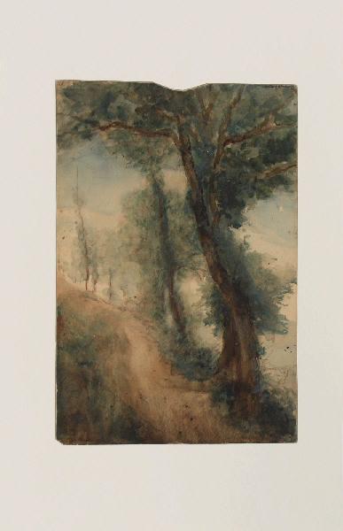 Chemin bordé d'arbres