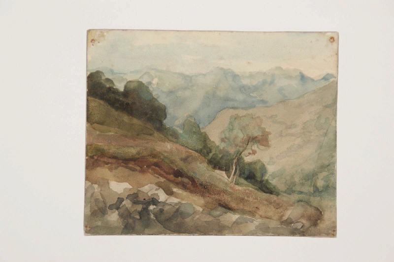 Paysage de montagne