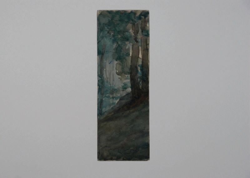Etude de sous-bois